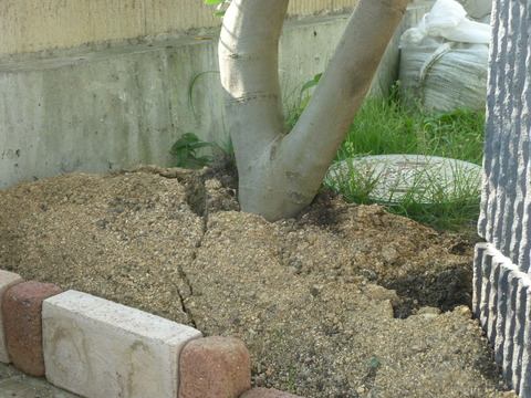 P1020050