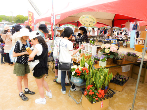 P1010581_edited