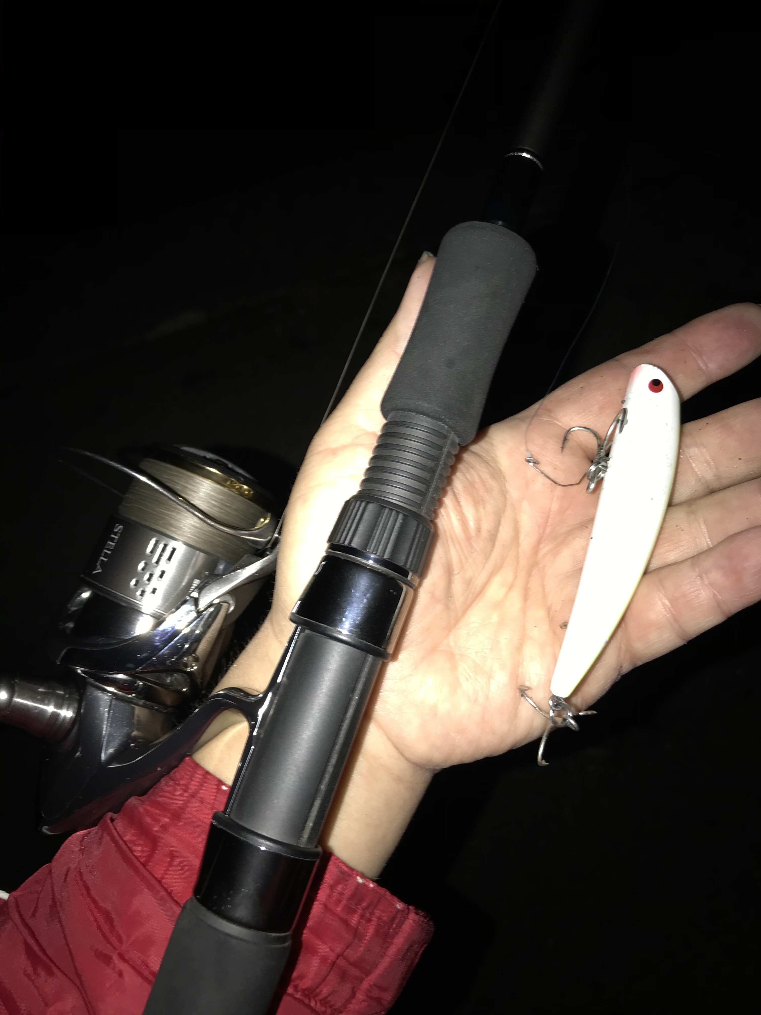 １１月２４日 火 ２５日 水 の釣果 ｇｐ ｓ ｒｏｏｍ なれの果て