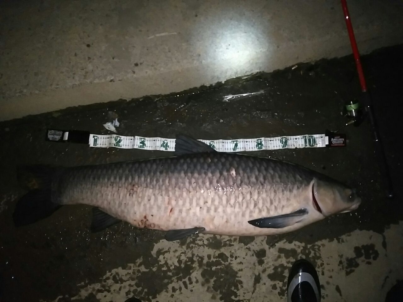 こ こいつぁ な 何者 ｇｐ ｓ ｒｏｏｍ なれの果て