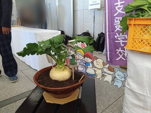 ぼかし丸_20251205_141836(1)