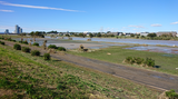 tamagawa