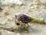 2568bcc3.jpg