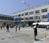 363cec66.jpg