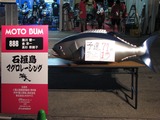 4c9056bd.jpg