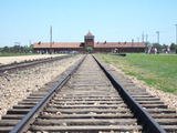 5608664a.jpg