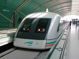 7d383981.jpg