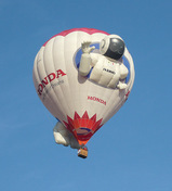 806de431.jpg