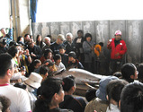 9b935925.jpg