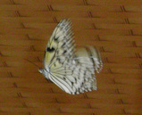 9eba4640.jpg