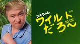 sugi