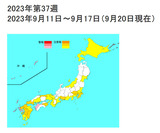 kansen