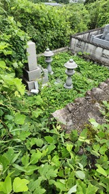 20240626_100919
