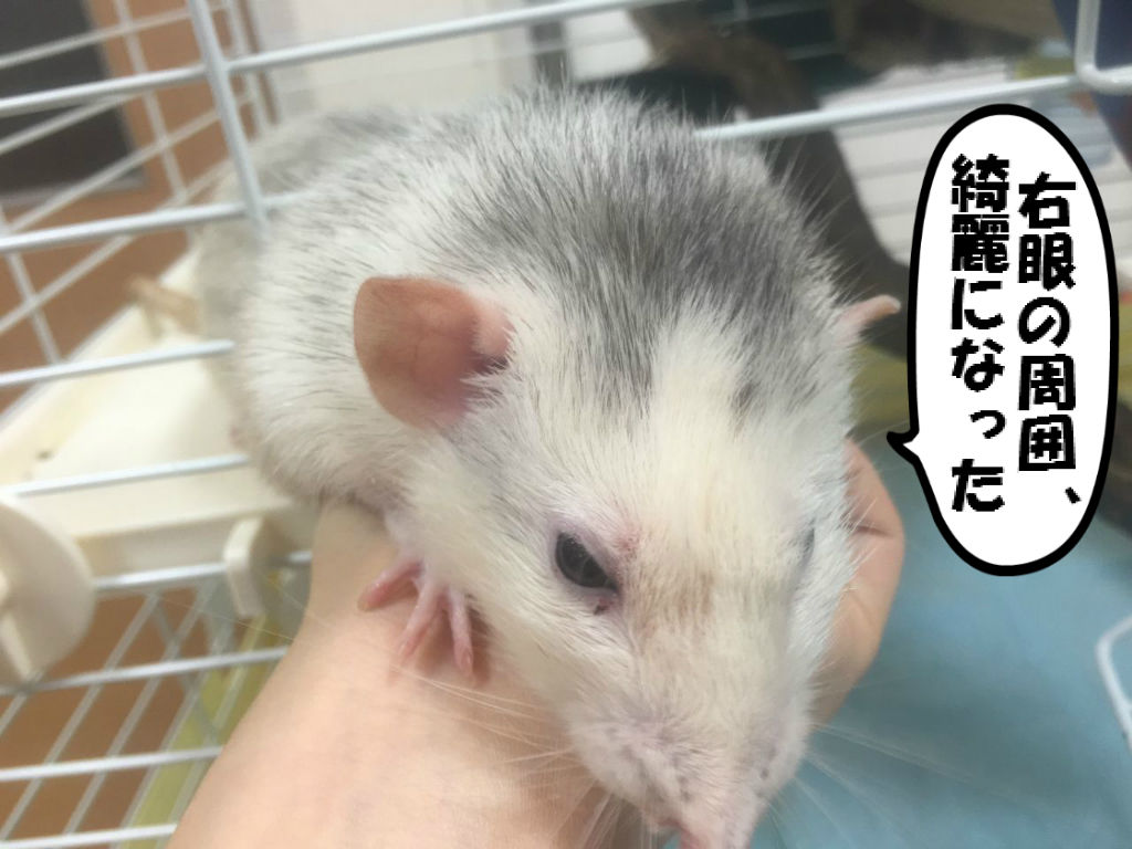 病院へ 唾液腺涙腺炎 ぐらぐらグラーベン 病院へ 唾液腺涙腺炎 ぐらぐらグラーベン
