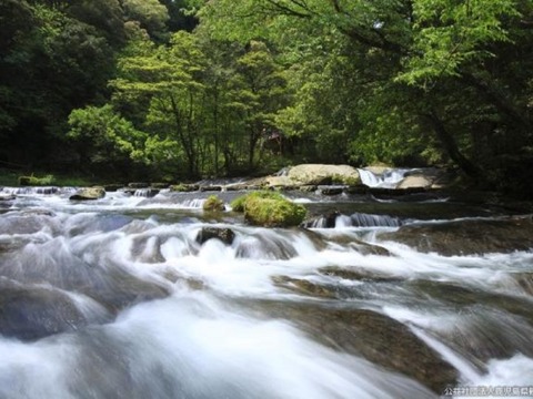 takarabe
