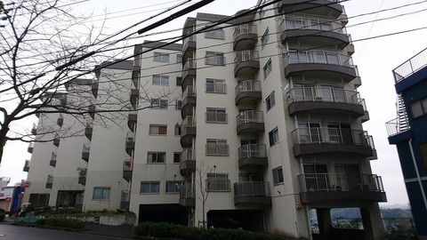 murasakibaru