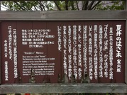 夏井のはさ木案内板
