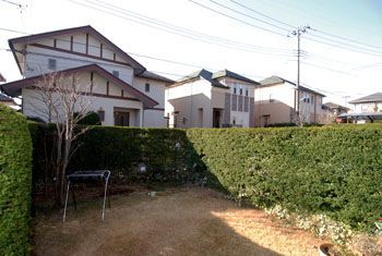 ビフォー5