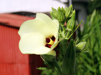 DSC00487