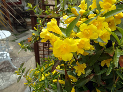 DSC05012