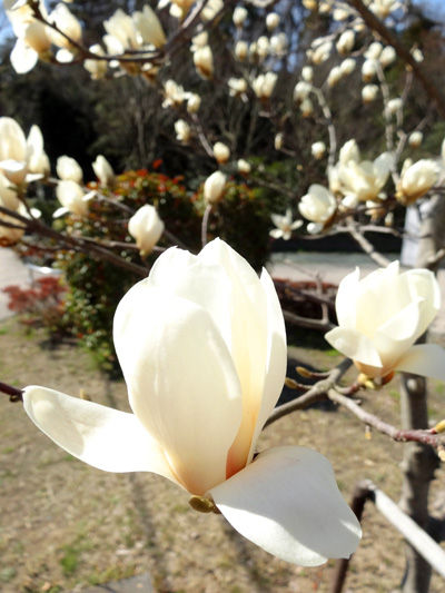 DSC04257