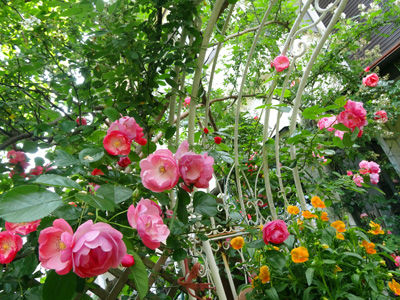 DSC06169