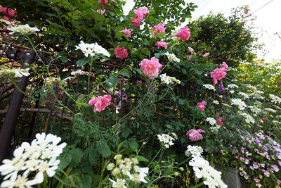 DSC04326