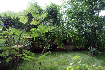DSC04035