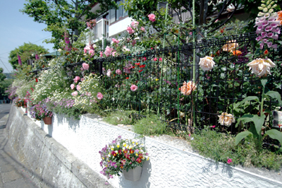 32c04681.jpg