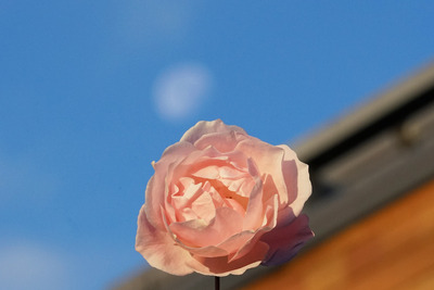 DSC00666