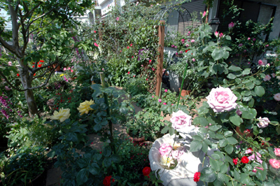 45f74e75.jpg