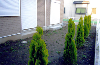 48204502.jpg