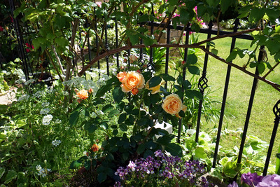 ドルチェビータ２