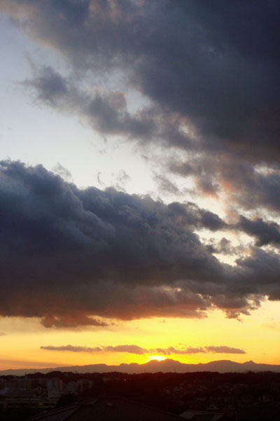 DSC00117