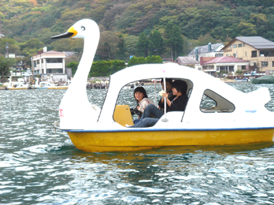 横浜ガーデンデザイン 幸せな庭のレシピ 芦ノ湖スワンボート 横浜ガーデンデザイン 幸せな庭のレシピ 芦ノ湖スワンボート