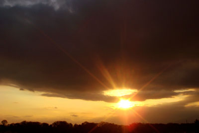 DSC00176