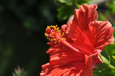 DSC_2256