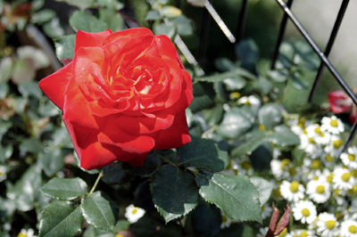 7499d78a.jpg