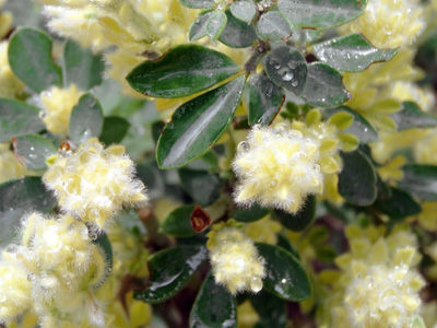 DSC04700