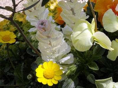 DSC04278
