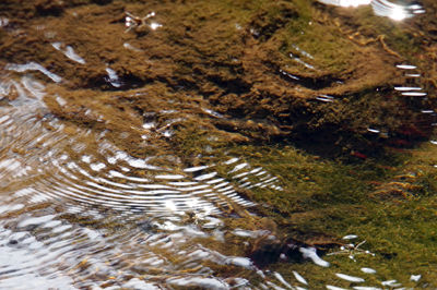 DSC06058