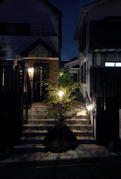 811746f5.jpg