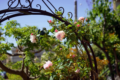 ファンタン・ラトゥール