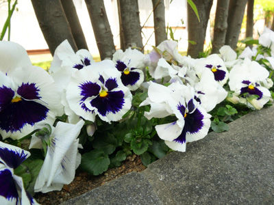 DSC04358