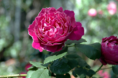 940237b5.jpg