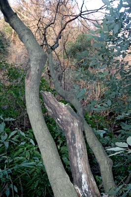9c242b69.jpg