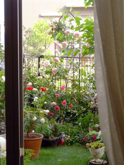 DSC06348