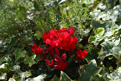DSC01921