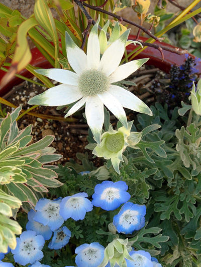 DSC04290