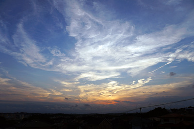DSC08371
